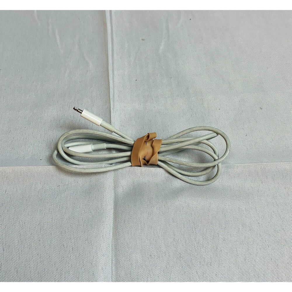 Apple iPhone Charger